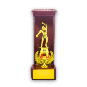 wooden trophy