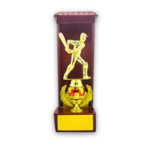 wooden trophy