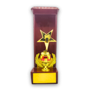 wooden trophy