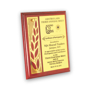 Plaque