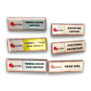 pin badges
